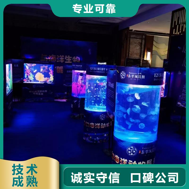 海洋主题动物表演出租表演羊驼品质好