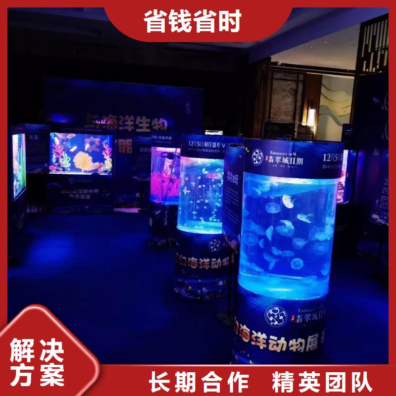 海洋主题动物表演马戏团表演全市24小时服务