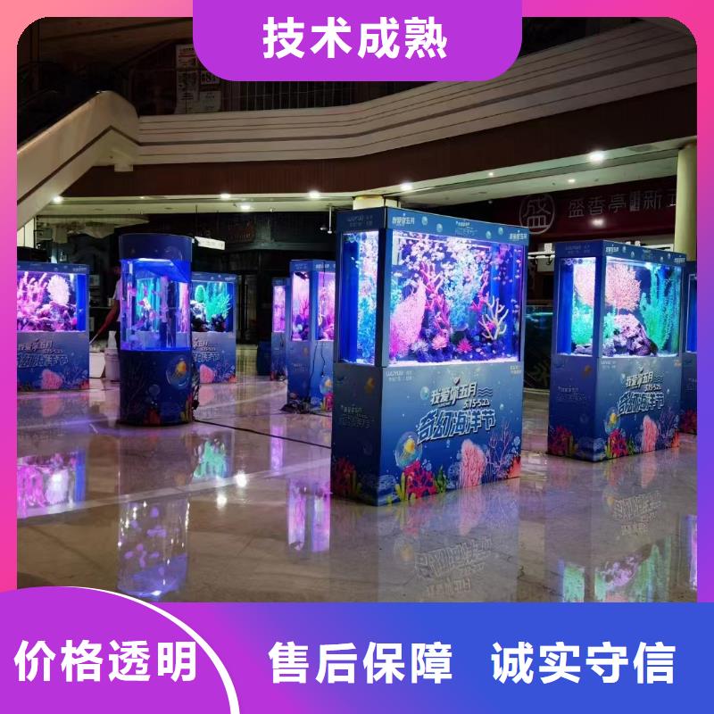 海洋主题动物表演【出租企鹅表演】正规团队