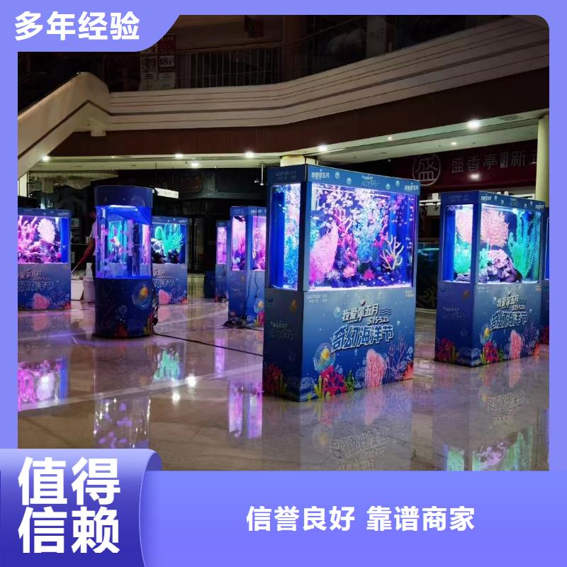 海洋主题动物表演-环球飞车表演出租高性价比