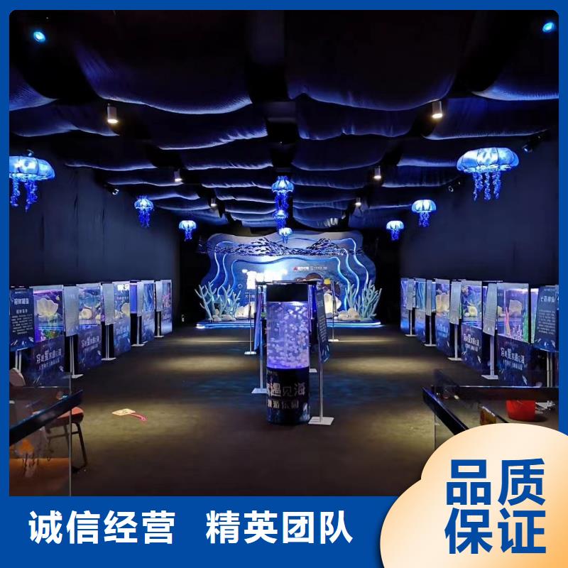 海洋主题动物表演 海洋展租赁2025公司精心