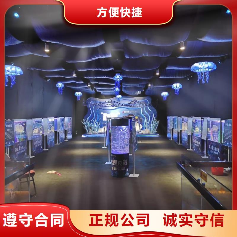 海洋主题动物表演【海狮表演】正规