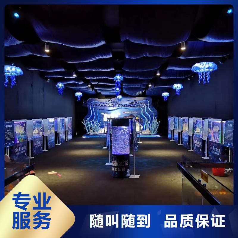 海洋主题动物表演动物表演租赁24小时为您服务
