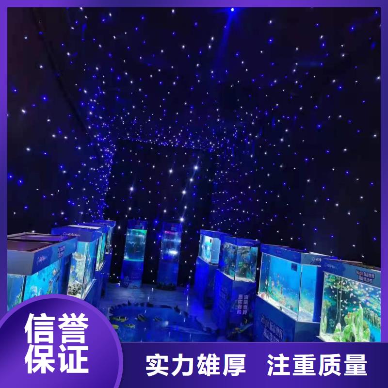 海洋主题动物表演表演动物出租公司