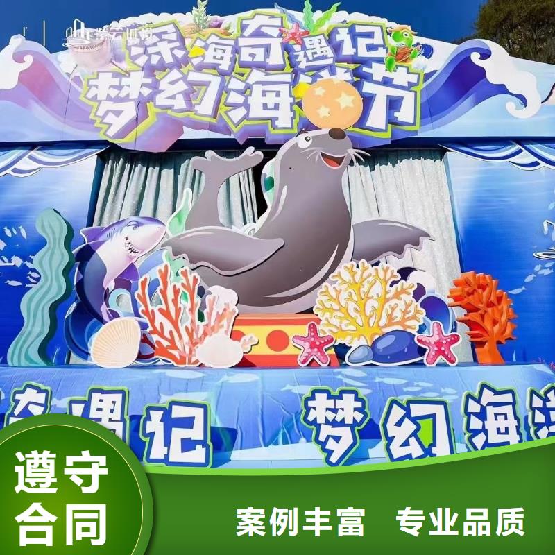 海洋主题动物表演死轮表演案例丰富