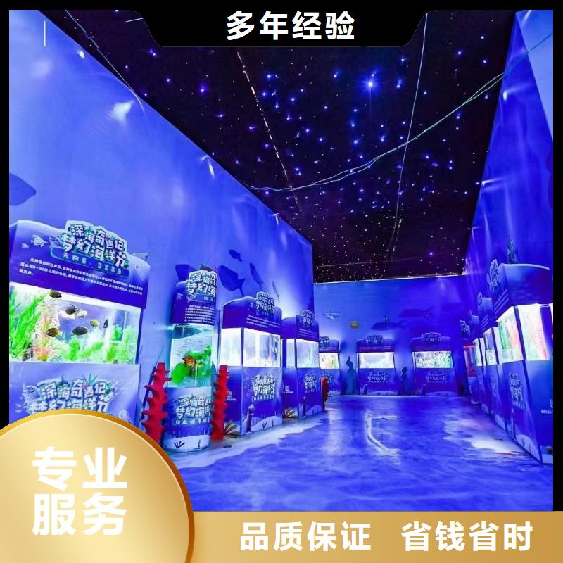海洋主题动物表演_出租海狮表演先进的技术