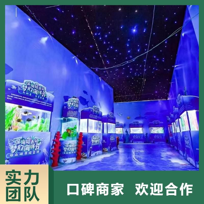 海洋主题动物表演杂耍演出有实力