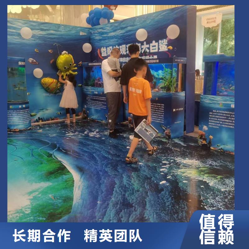 海洋主题动物表演企鹅出租表演专业可靠