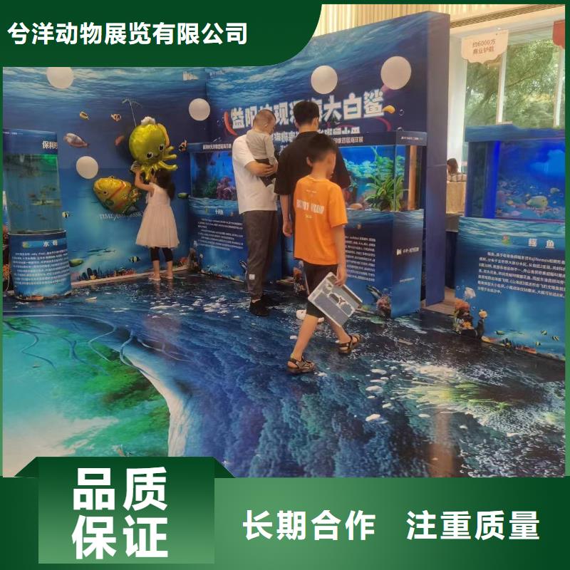 海洋主题动物表演吉祥百鸟展售后保障