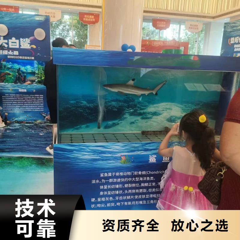 海洋主题动物表演动物杂技表演租赁质优价廉