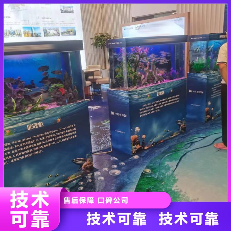 海洋主题动物表演-【出租表演鹦鹉】24小时为您服务