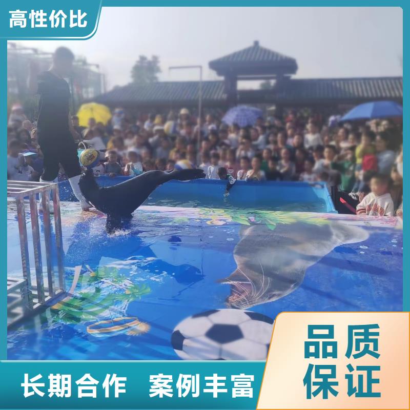海洋主题动物表演动物表演出租实力强有保证