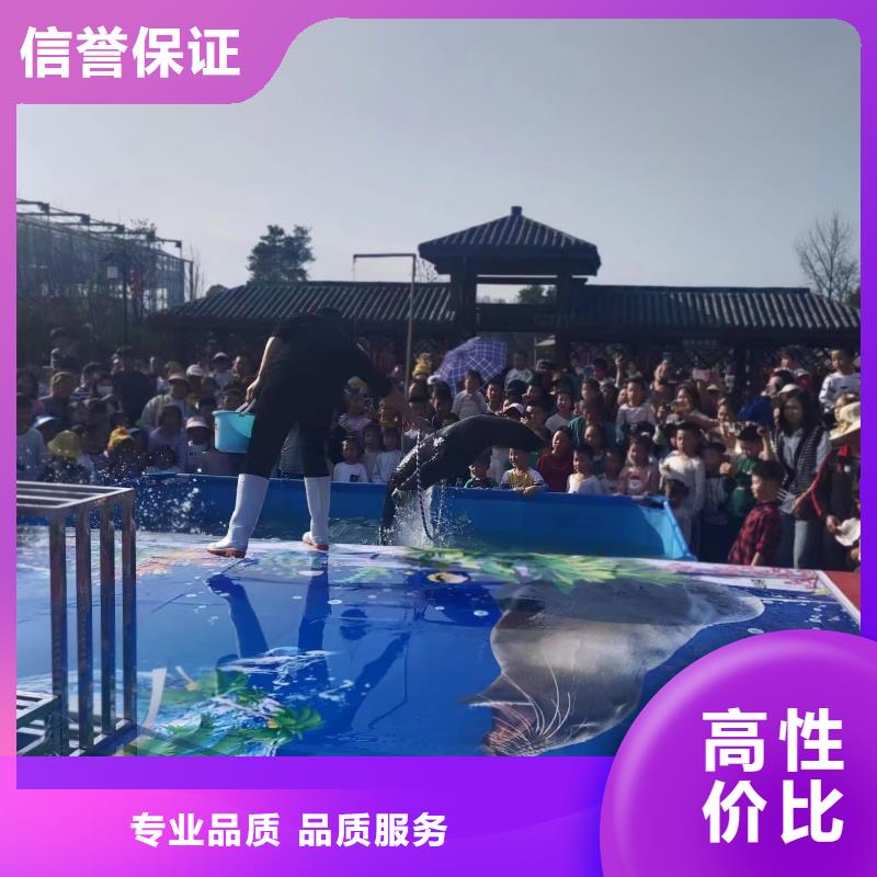 【海洋主题动物表演】【海狮表演】注重质量