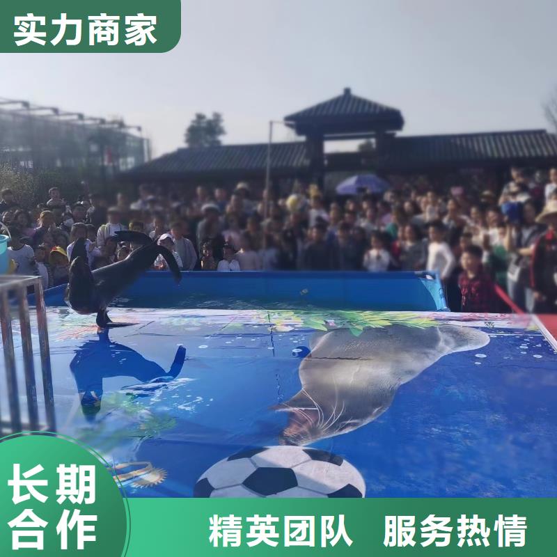 海洋主题动物表演_【出租企鹅表演】实力商家