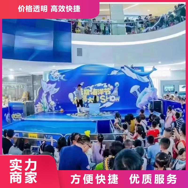 海洋主题动物表演_羊驼表演正规团队