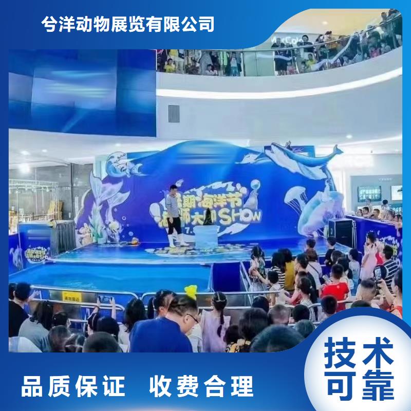海洋主题动物表演马戏团表演多年行业经验