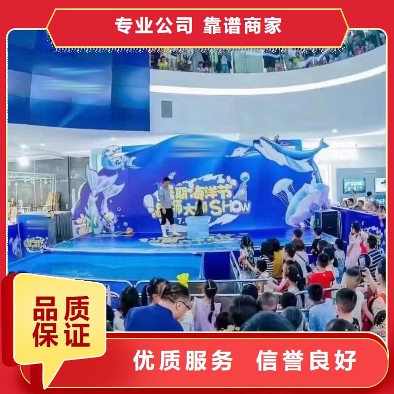 海洋主题动物表演,马戏团出租 从业经验丰富