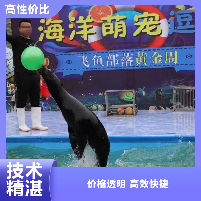 海洋主题动物表演出租动物表演诚信