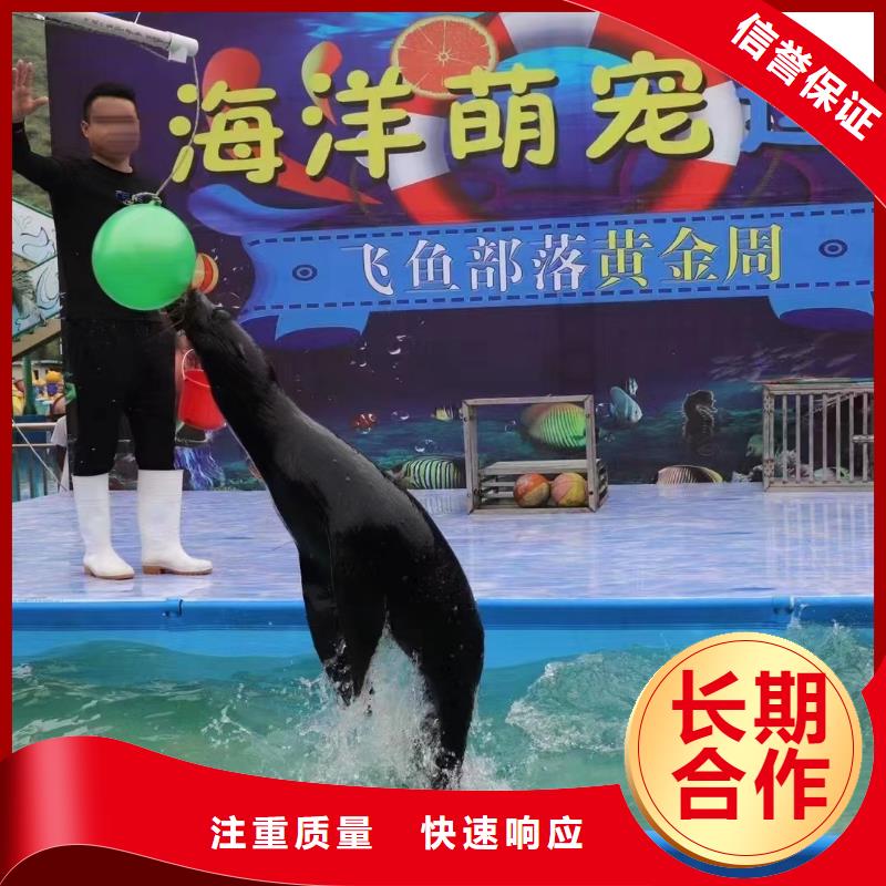 海洋主题动物表演-鹦鹉表演2025专业的团队