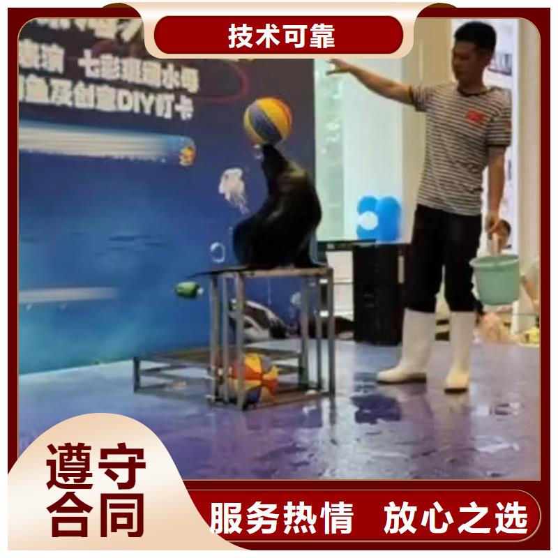 【海洋主题动物表演出租表演羊驼诚信放心】
