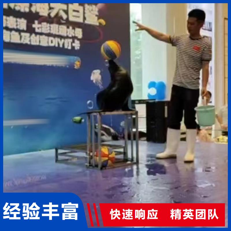 【海洋主题动物表演】海洋展租赁一站式服务