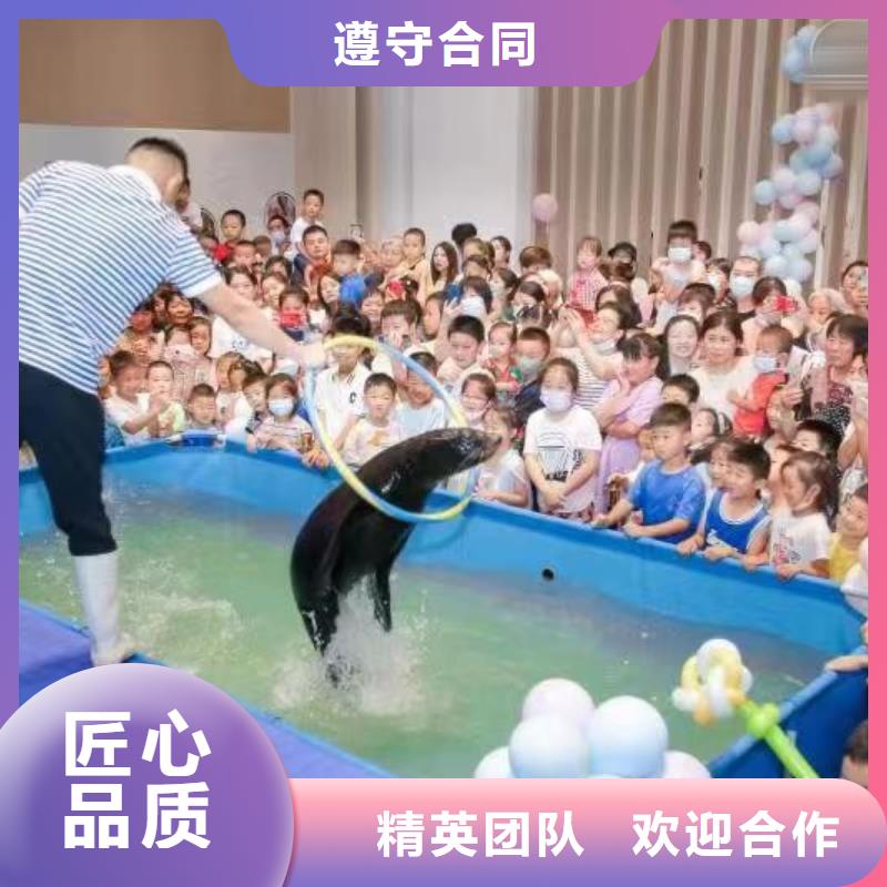 海洋主题动物表演表演羊驼租赁实力雄厚