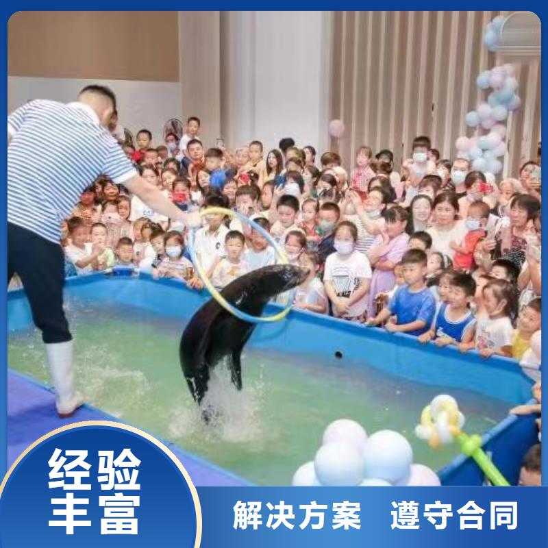 海洋主题动物表演美人鱼表演一站式服务