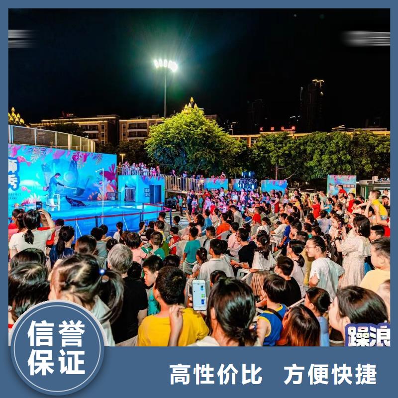 海洋主题动物表演,杂技表演租赁服务品质服务