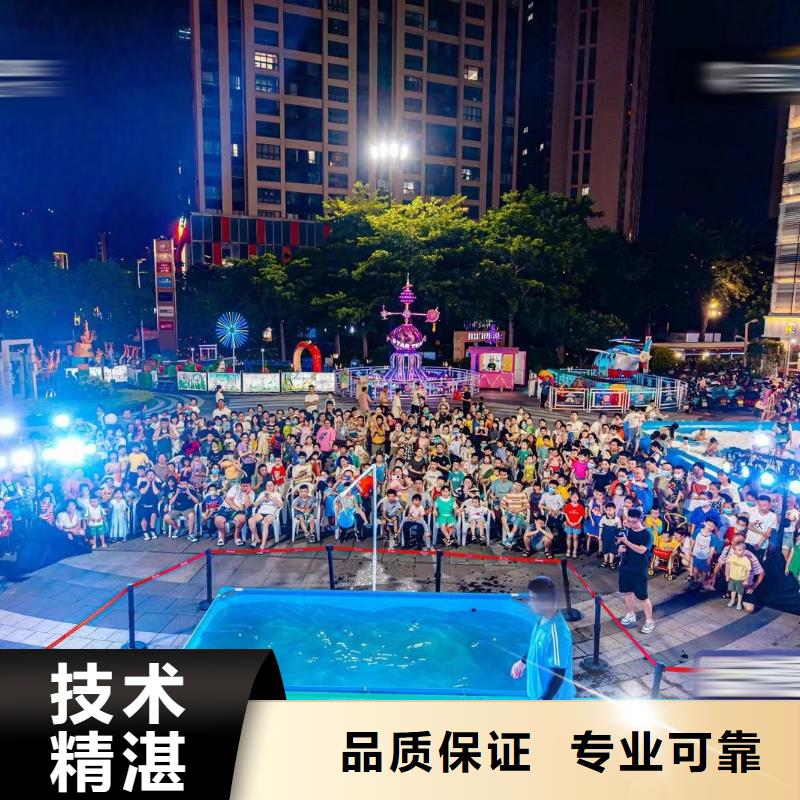 海洋主题动物表演海狮表演出租多年行业经验