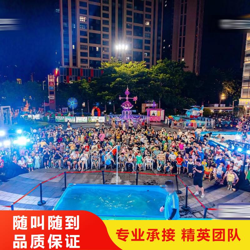 海洋主题动物表演企鹅出租表演专业可靠