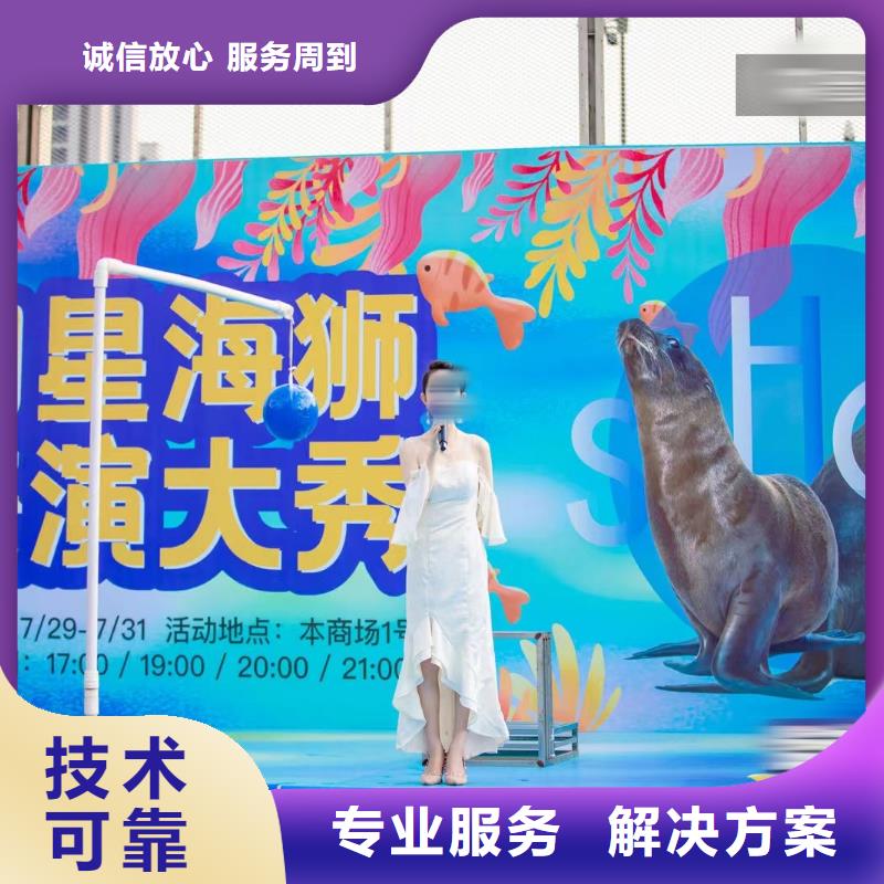 海洋主题动物表演马戏团表演出租租赁品质卓越