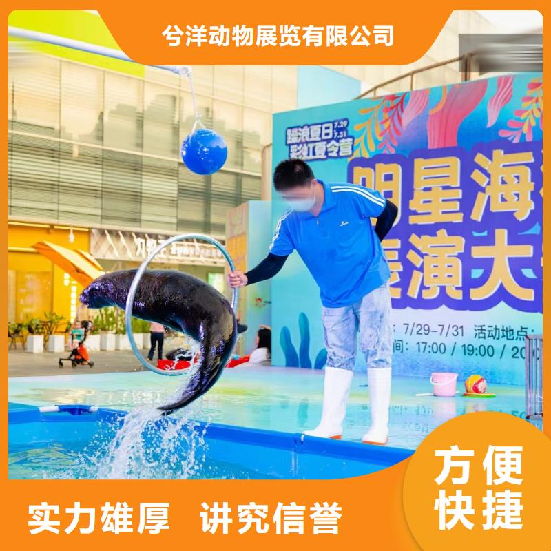 海洋主题动物表演 水族海洋展免费咨询
