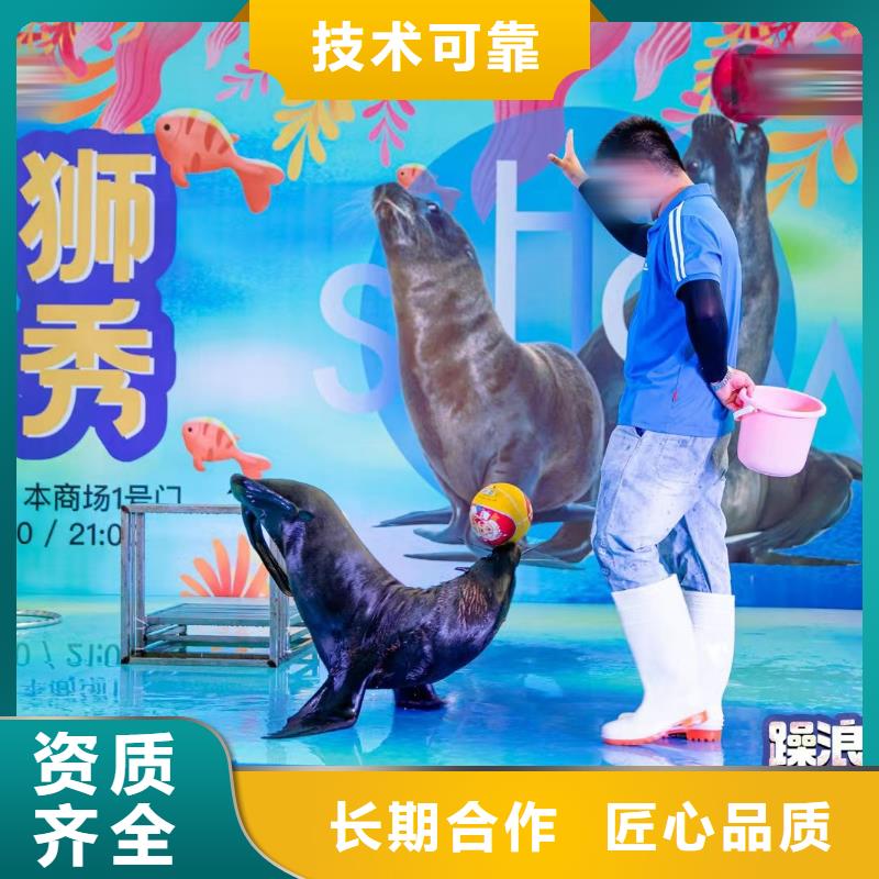 海洋主题动物表演【企鹅演出】全市24小时服务