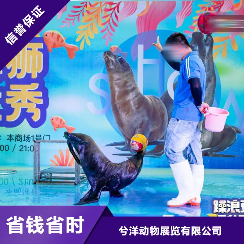 海洋主题动物表演萌宠动物展出租价格美丽