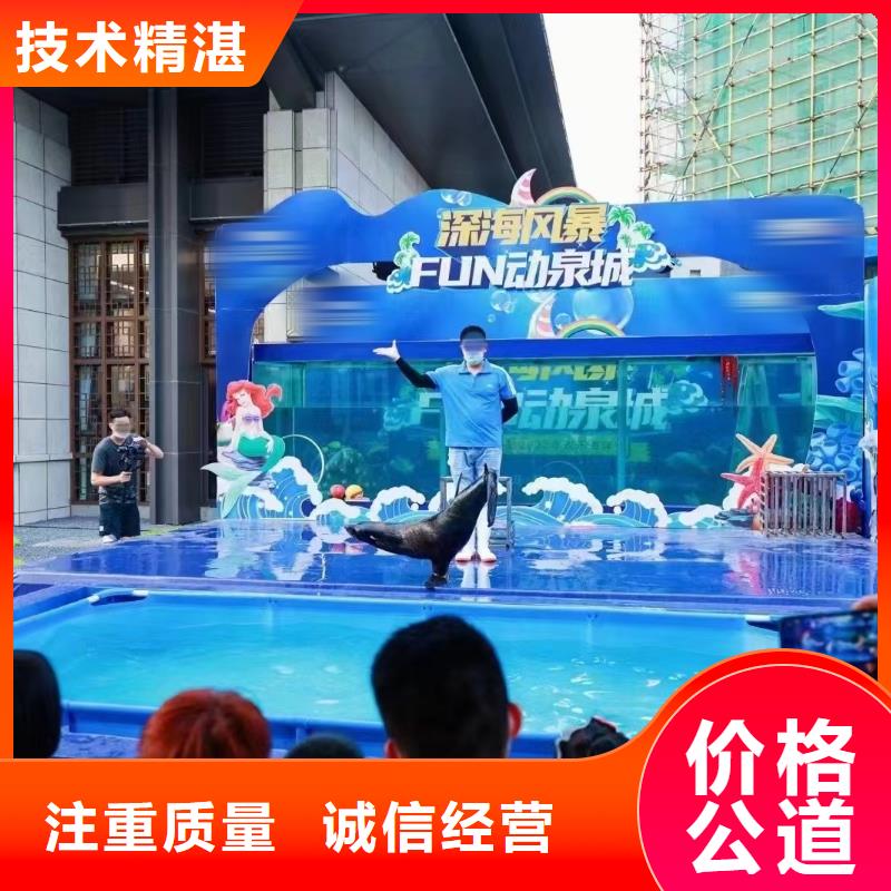 海洋主题动物表演【海狮杂技表演】实力商家