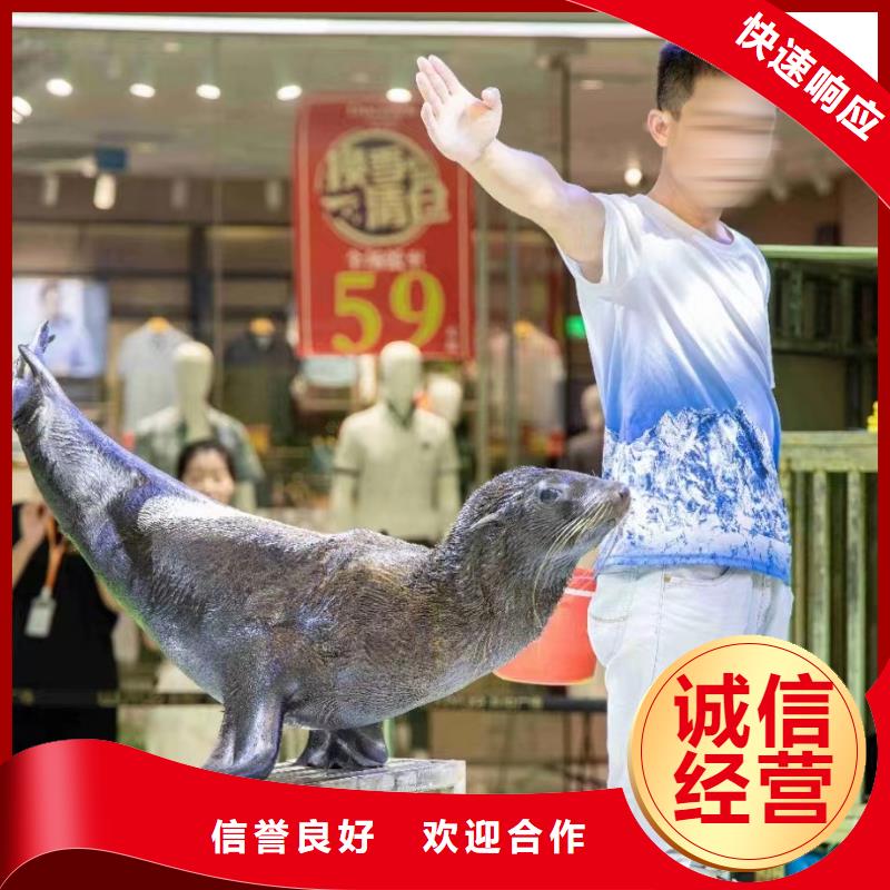 海洋主题动物表演 企鹅出租知名公司