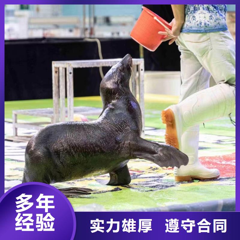 【海洋主题动物表演】萌宠动物展出租价格美丽