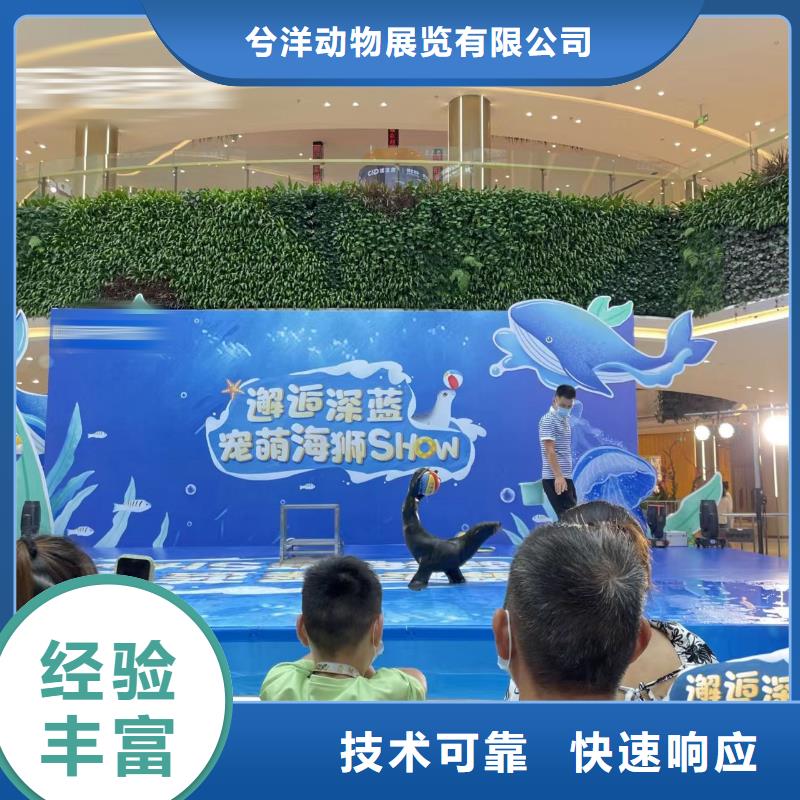 吉祥百鸟展视频-吉祥百鸟展|河南省开封市|杞县|龙亭|驻马店|南阳|信阳|商丘|濮阳|安阳