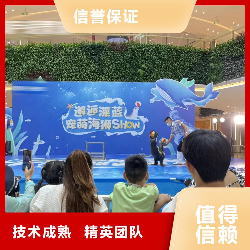 海洋主题动物表演出租马戏表演专业公司