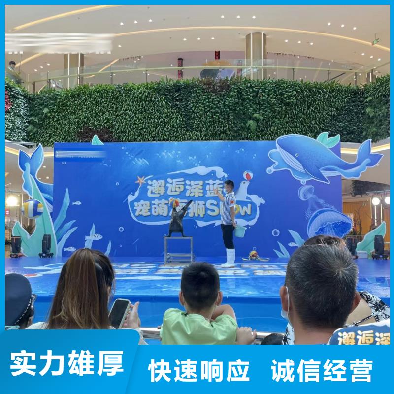 海洋主题动物表演_驯兽表演技术好