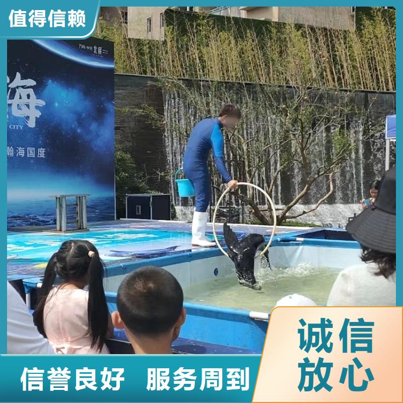 海洋主题动物表演萌宠动物展出租价格美丽