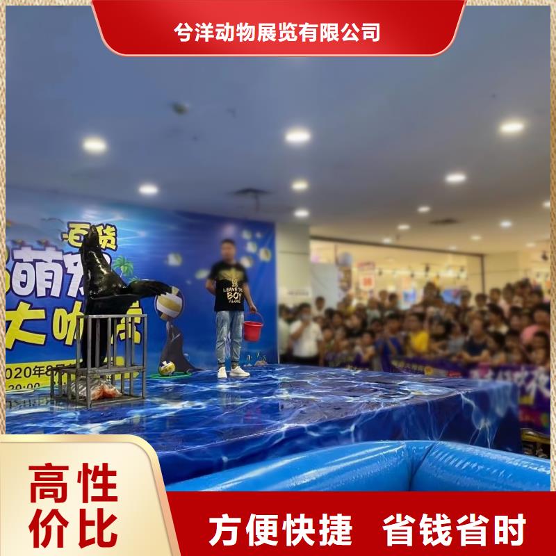 吉祥百鸟展视频-吉祥百鸟展_甘肃省张掖市市场覆盖甘州|临泽|平凉|定西|陇南|甘南|临夏|金昌等