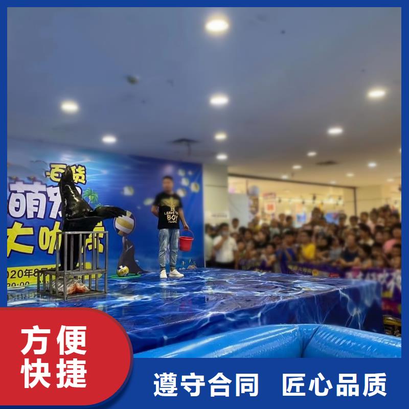 海洋主题动物表演美人鱼表演实力强有保证