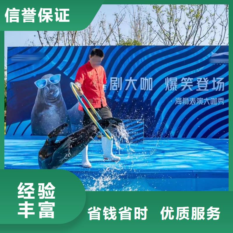 海洋主题动物表演-动物杂技表演实力商家