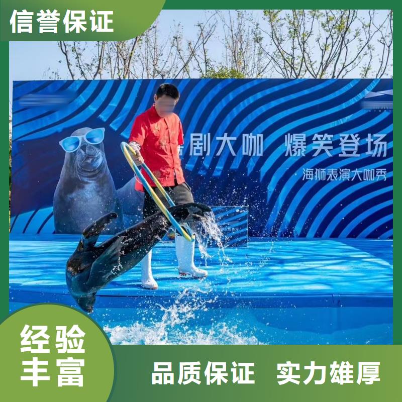 海洋主题动物表演杂耍演出有实力