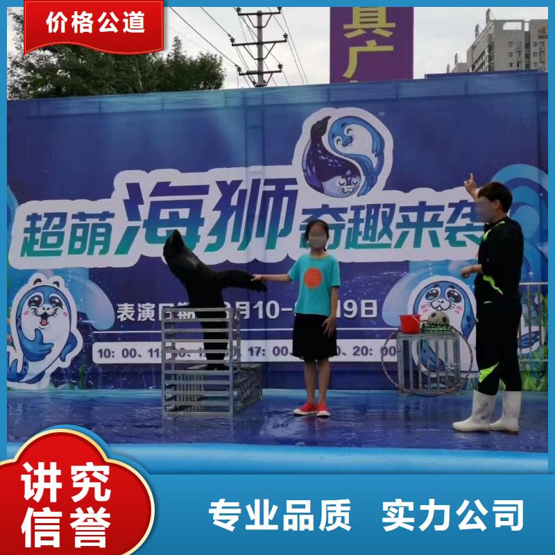 海洋主题动物表演鹦鹉表演租赁正规
