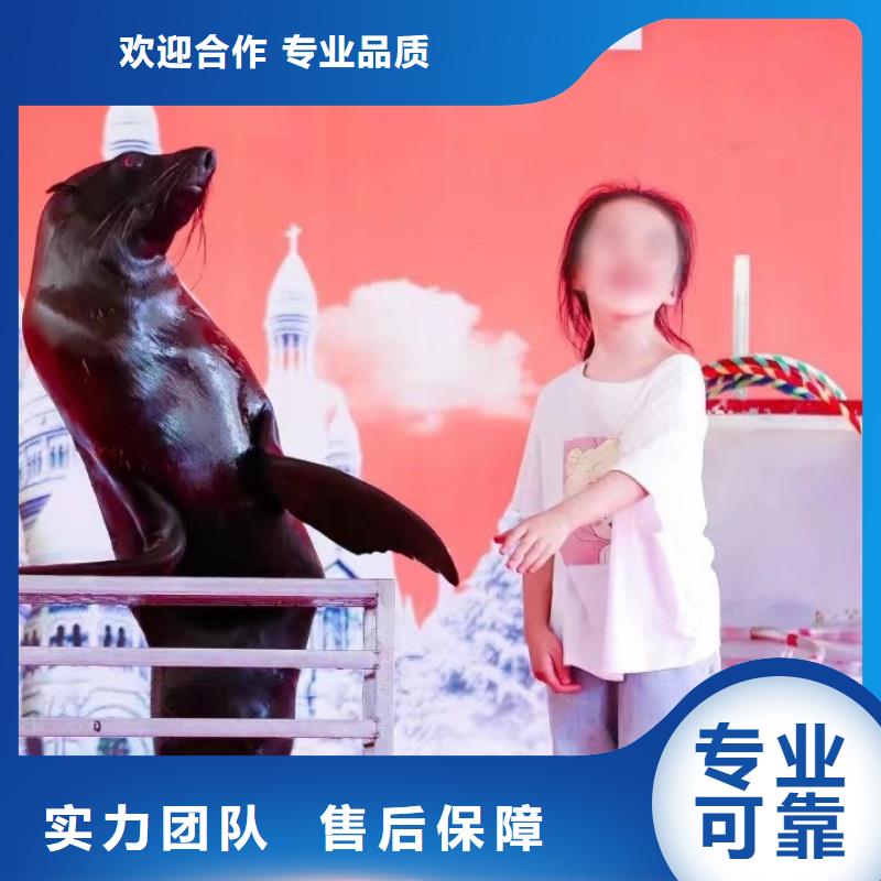 海洋主题动物表演_出租海狮表演先进的技术