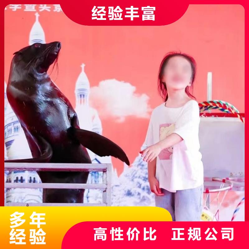 海洋主题动物表演美人鱼表演一站式服务
