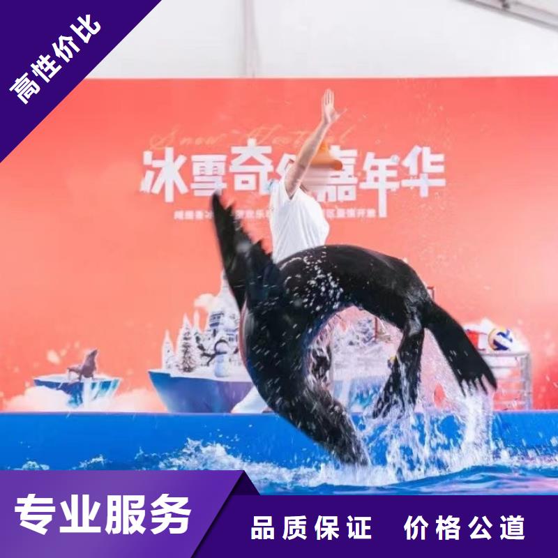 海洋主题动物表演,【企鹅表演】公司