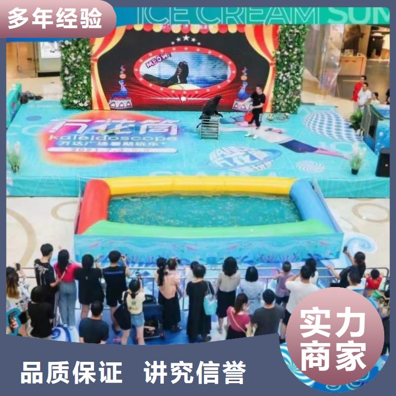 海洋主题动物表演_【美人鱼出租演出】2025公司